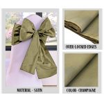 Champagne Taffeta Chair Sashes (10pc) - Image 2