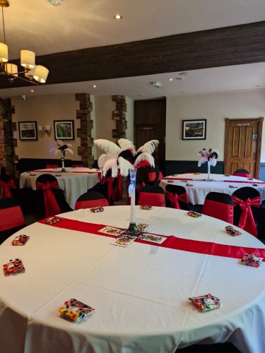 Red Taffeta Chair Sashes (10pc) photo review