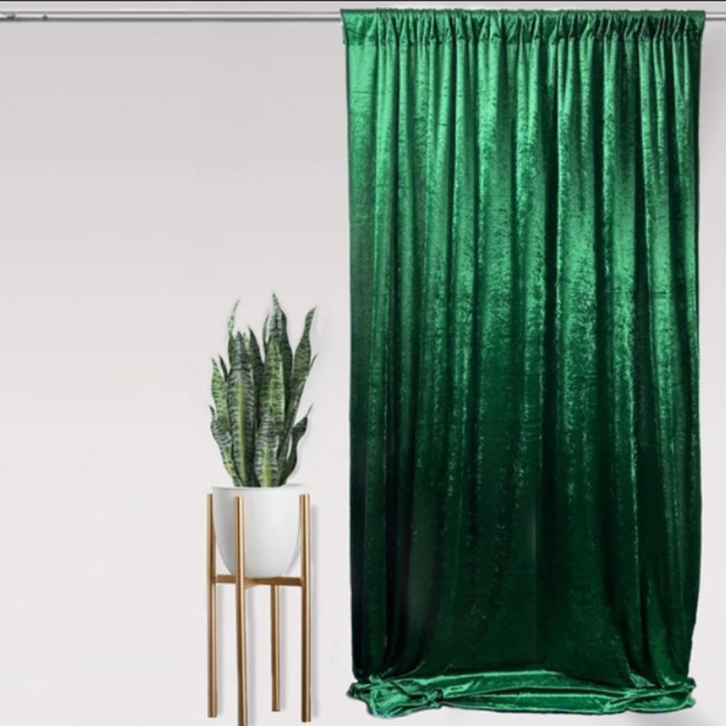 bottle green backdrop 4