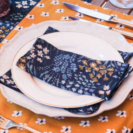 Napkins and Decorative Napkins