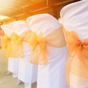 Organza Chair Sashes