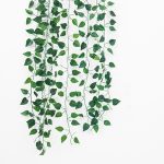 Ivy for wedding decoration