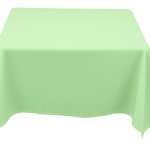 30 x 30'' Mint Polyester Tablecloth
